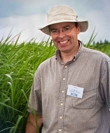 Tall Grasses for Green Fuel