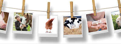 Campbell Centre for Animal Welfare Celebrates 25th Anniversary