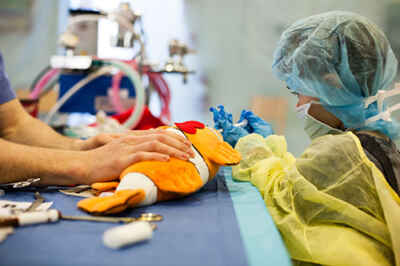 Helping Children Manage Fear and Pain when Facing Medical Procedures
