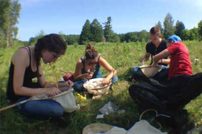 ‘Bioblitz’ Showcases Power, Speed of DNA Barcoding