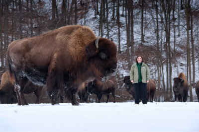 Reproductive Research Focuses on Preserving Iconic Canadian Species