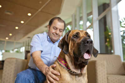 Guidelines Help Maximize Benefits of Hospital Pet Visitation Programs