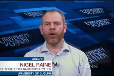 Environmental Science Prof on BNN