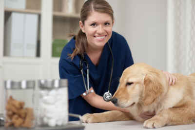 OVC, Zoetis Team to Study How Vets Cope with Stress