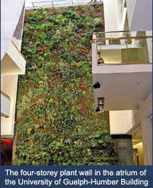 Guelph-Humber Plant Wall a Breath of Fresh Air