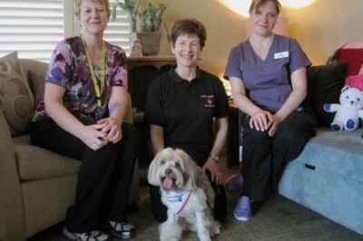 ‘Take a Paws’ Stress-Buster Featured on CTV