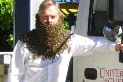 Honeybee Research Centre Manager Discusses Urban Beekeeping in Toronto Star