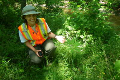 Computer Model Helps Find Rare Ontario Plants