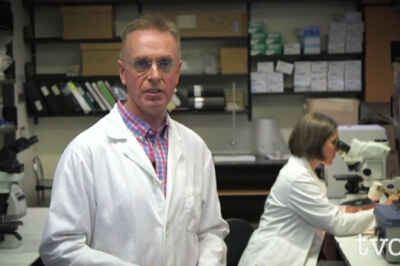 OVC Prof Talks Ticks on TVO