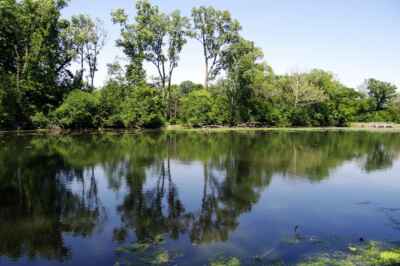 Tiny Water Flea Provides Big Insight on Effects of Climate Change on Freshwater Organisms