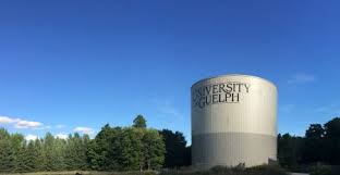 U of G’s Power Savings Featured on CTV News