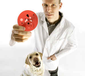Exotic Pets Potentially Dangerous, OVC Prof Tells Canadian Press
