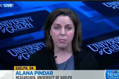 Researcher Discusses Endangered Bumblebee With CTV News Channel