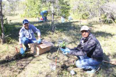 U of G, National Park Restoration Project Celebrates Canada 150