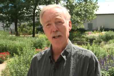 Prof Discusses Thriving Mosquito Population With CTV News