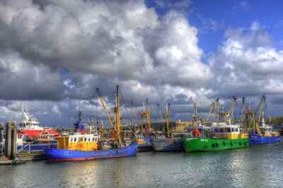 U of G Prof Provides Fisheries a Solution to Overharvesting