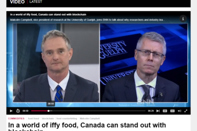 VP Research Talks Blockchain With BNN