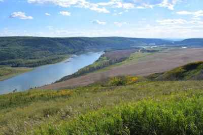Decision Undermines Reconciliation With Indigenous Peoples and Long-Term Action on Climate Change