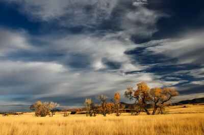 Plant Diversity Crucial for Ecosystems: Study