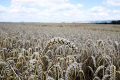 A Food Policy for Canada: Now Is the Time for Action
