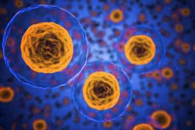 CIHR Awards $3.37 Million to U of G for Innovative Health Research