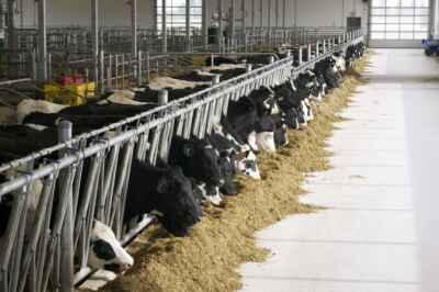 New Animal Care Program Gives Researchers Better Insights