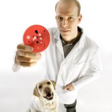 Mice, Bacteria and Drug-Resistant Genes: Prof Appears in Washington Post, CBC News Stories