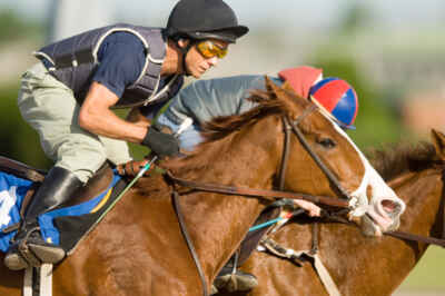 Airway Disease in Racehorses More Prevalent Than Previously Thought, Study Reveals
