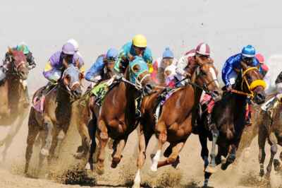 Intense Exercise Can Be Hazardous to Horses, New U of G Study Reveals