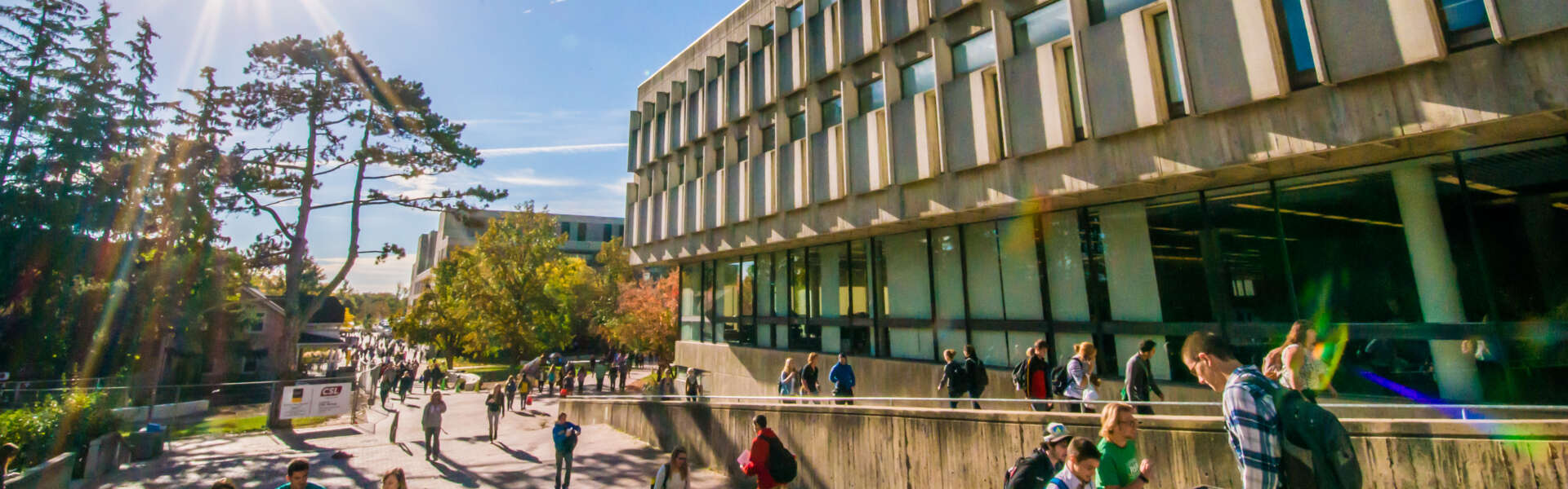 Students walk near the McLaughlin Library on a sunny day