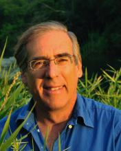 Prof Discusses Unhealthy Diets With International Media