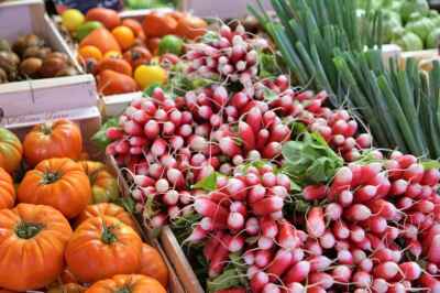 Available Expert: Food Day Canada And ‘Culinary Sovereignty’