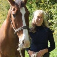 Happy Horses: U of G Prof Talks to Gizmodo About New French Study