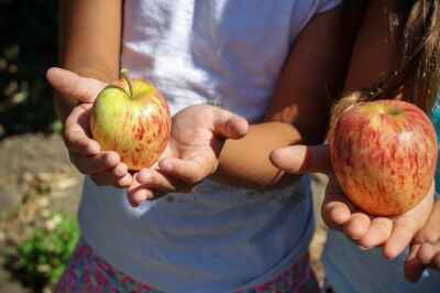 ‘Farm-to-School’ Movement Takes Root in Canada
