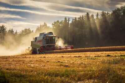 Not Enough Fruits, Vegetables Grown to Feed the Planet, U of G Study Reveals