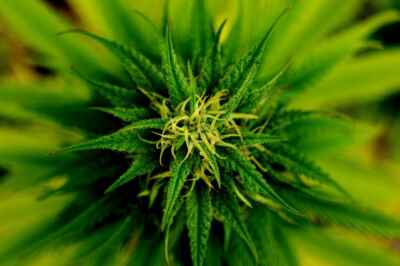 How Do You Solve a Marketing Problem Like Mary Jane?