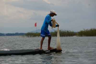 We Can Eat Our Fish and Fight Climate Change, Too