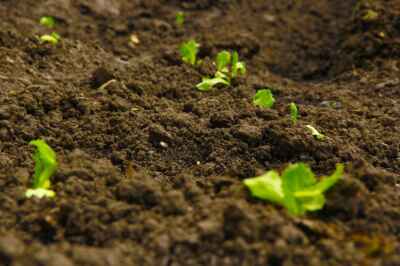 Canada’s Soils Are in Crisis