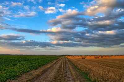 Stoking Conflict Between Farming and Conservation Hurts Everyone