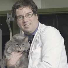 Cancer Treatments in Dogs Could Help Humans, OVC Prof Tells CTV’s W5