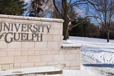 President’s Advisory Committee on Anti-Racism Named