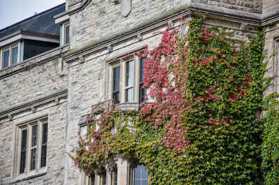 What’s Open at U of G Over the Thanksgiving Weekend?