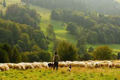 How to Fight Climate Change in Agriculture While Protecting Jobs