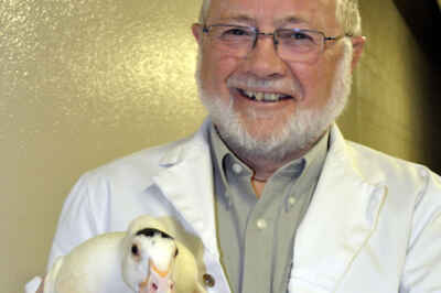 U of G’s ‘Chicken Whisperer’ to Receive Lifetime Achievement Award