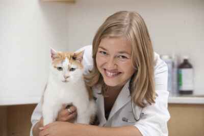 U of G Pet Nutrition Expert Receives Research Excellence Award