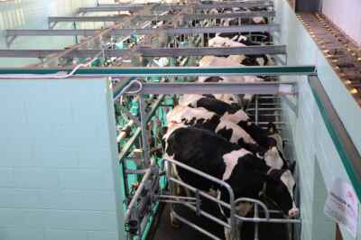 Forget Smart Cities (for a Minute), We Need to Talk About Smart Farms