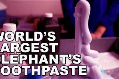 UPDATE: U of G Attempt to Break Guinness World Record