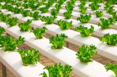 COMMENTARY: Addressing Food Insecurity in the Digital Age