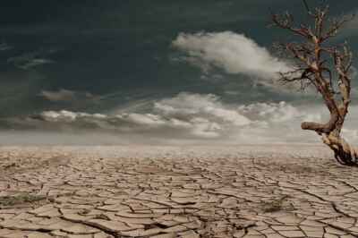 Language Matters When the Earth Is in the Midst of a Climate Crisis