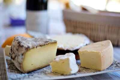 Lab-Grown Dairy: The Next Food Frontier